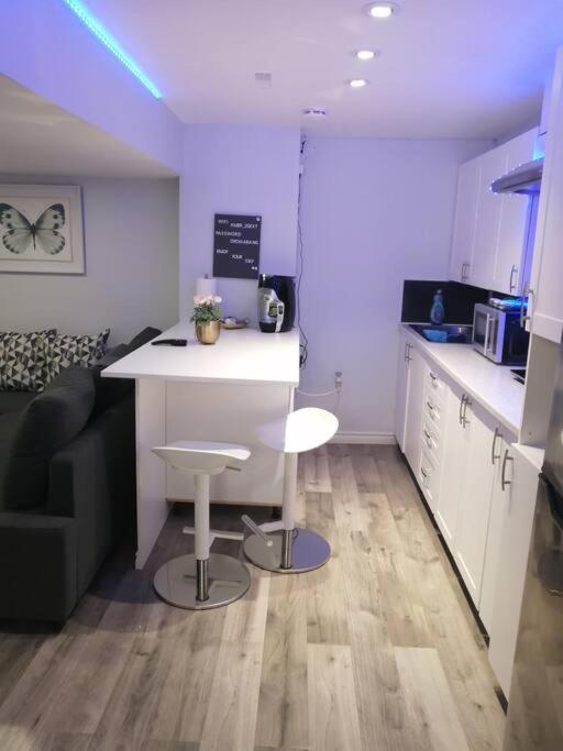 Apartmán Cozy Nest Basement Unit Hamilton Exteriér fotografie